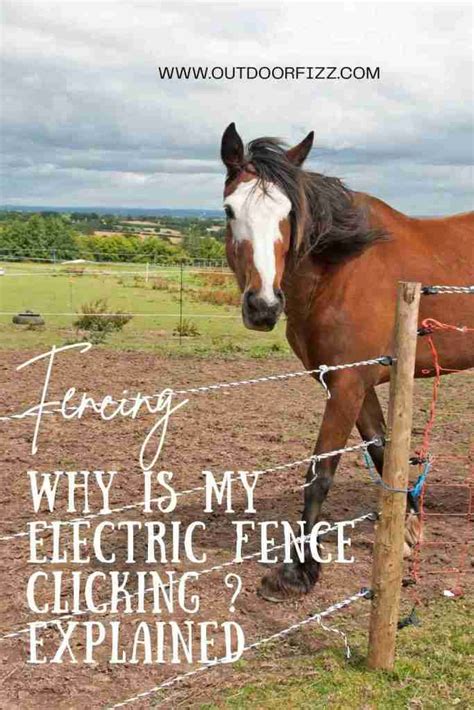 electric fence box clicking|why is my fence clicking.